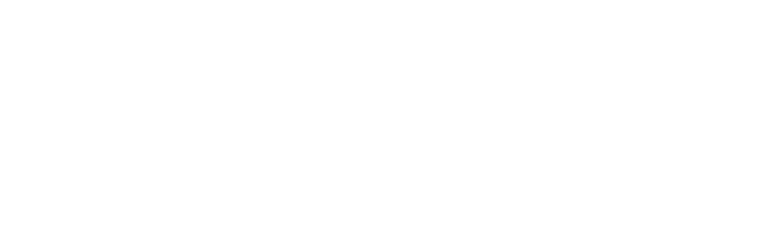 BILD International